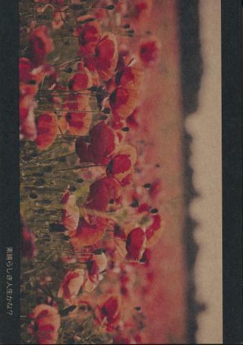 素晴らしき人生かな 蔵出品 女性向同人 同人誌 特約 アニメグッズ ゲーム 同人誌の中古販売 買取 らしんばんオンライン