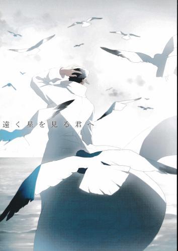 遠く星を見る君へ 【蔵出品】