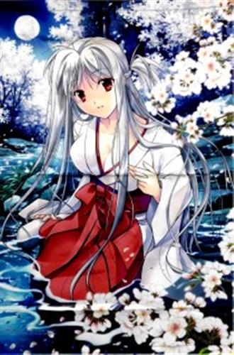 IZUMO 4 タペストリー 縁