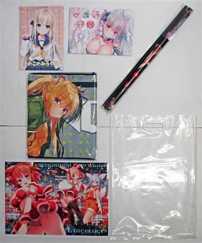 グッズセット(きのこのみるく 13+フード付きタオル+タペストリー+カレンダー+クリアポスター+ビニールバッグ) 【Fate シリーズ】[konomi|kino][きのこのみ]