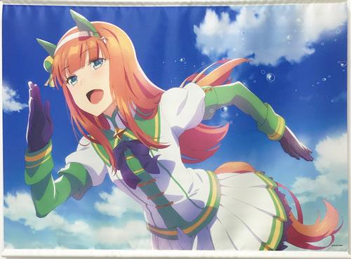 買取価格 1 300円 ウマ娘 プリティーダービー B2タペストリー サイレンスズカ グッズ 抱き枕カバー タペストリー シーツ タペストリー 一般 なっとく買取のらしんばんオンライン アニメグッズ 同人誌 中古ゲームのネット買取