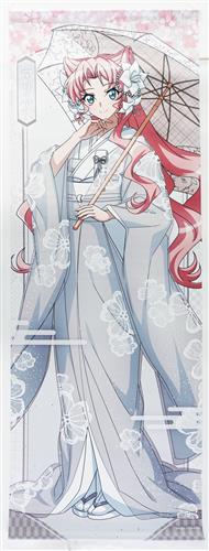 戦姫絶唱シンフォギアXV スピードくじ 等身大タペストリー賞 等身大タペストリー マリア・カデンツァヴナ・イヴ