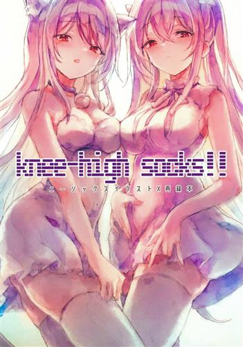knee-high socks!!ニーソックスイラストX再録本 【オリジナル作品】[かむいこたん][四葉挿話]