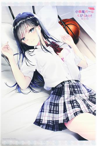 週4で部屋に遊びにくる小悪魔ガールはくびったけ B2タペストリー 黒江美沙 グッズ 抱き枕カバー タペストリー シーツ タペストリー 一般 アニメグッズ ゲーム 同人誌の中古販売 買取 らしんばんオンライン