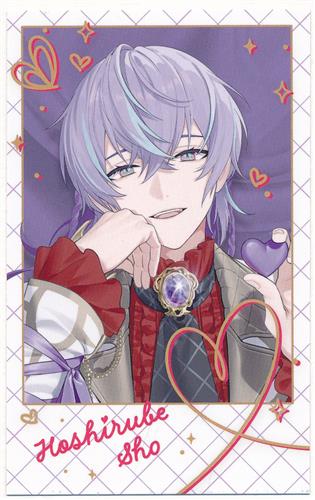 にじさんじ Melty Valentine ランダムチェキ風カード 星導ショウ B