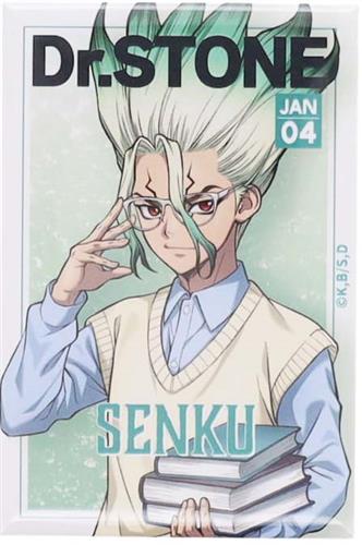 くじ引き堂 Dr.STONE オンラインくじ 読書の秋編 D-6賞 缶バッジ 長方形 石神千空