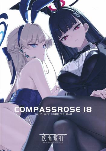 COMPASSROSE 18 【ブルーアーカイブ】[六羽田トモエ][夜間飛行]
