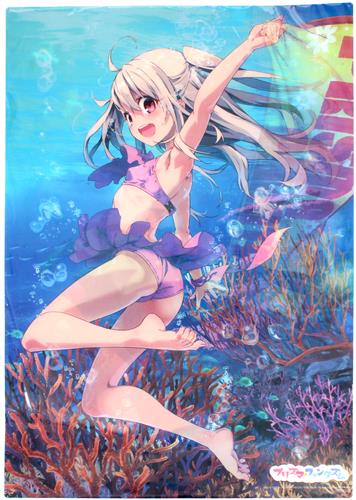 Fate/kaleid liner Prisma☆Illya プリズマ☆ファンタズム イリヤ☆ダブルマリンstyle! A3チェンジングポスター イリヤスフィール・フォン・アインツベルン 【流通 BD早期予約購入特典】