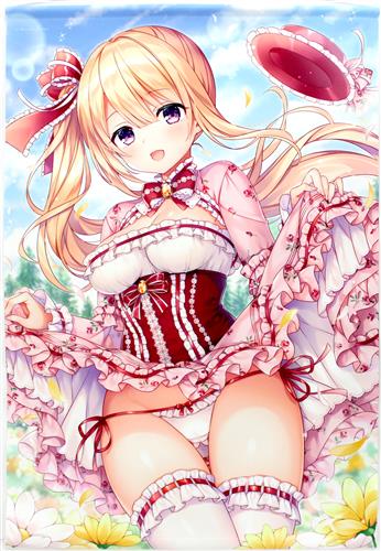 Under wears 3 B2Wスエードタペストリー 三つ葉ちょこ 【メロンブックス うりぼうざっか店限定】