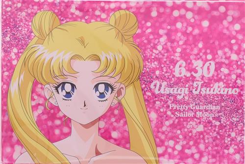 美少女戦士セーラームーン 2025 BIRTHDAY GOODS USAGI TSUKINO アクリルブロック 月野うさぎ