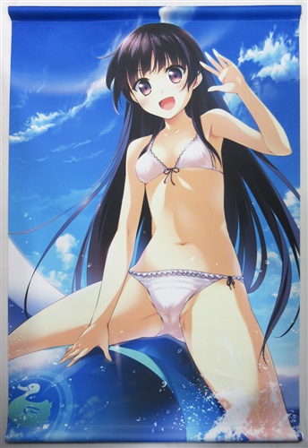 この大空に、翼をひろげて Flight Diary リゾートタペストリー 羽々音小鳥 【コミケ84】