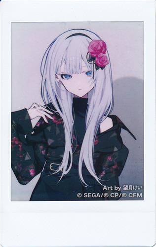 プロジェクトセカイ カラフルステージ!×ZOZOTOWN 第2弾 チェキ 25時、ナイトコードで。 宵崎奏