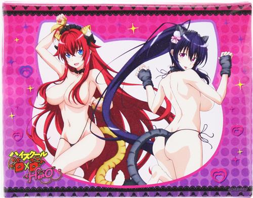 ハイスクールD×D HERO eeoくじ A-2賞 キャンバスボード リアス・グレモリー&姫島朱乃 B