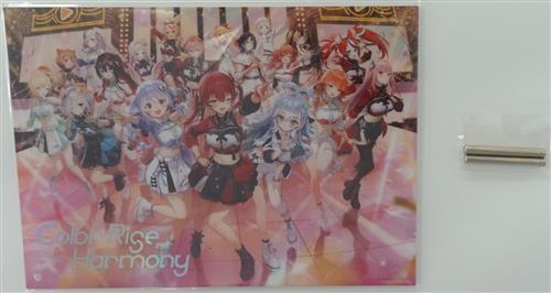 ホロライブ hololive 6th fes. Color Rise Harmony キービジュアルアクリルパネル STAGE 2