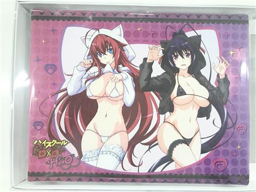 ハイスクールD×D HERO eeoくじ A-1賞 キャンバスボード リアス・グレモリー&姫島朱乃 A