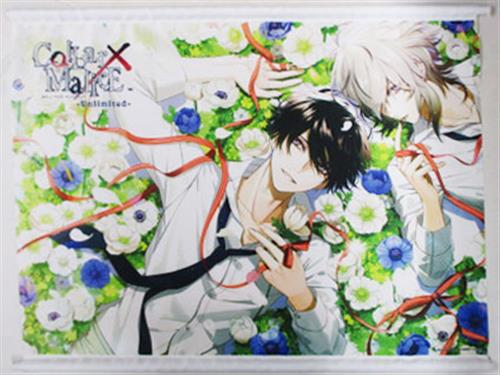 Collar×Malice -Unlimited- A2タペストリー 柳愛時&岡崎契