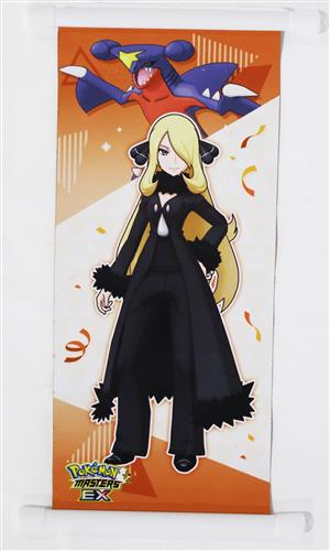 ポケモンマスターズ EX バディーズ リバーシブルミニタペストリー シロナ
