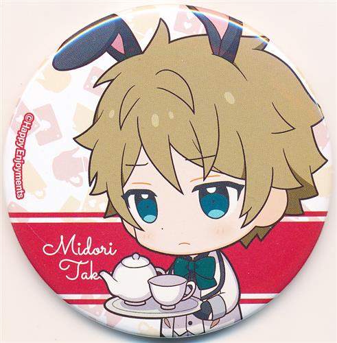 あんさんぶるスターズ! 中国限定 おとぎ話シリーズ 缶バッジ C 高峯翠