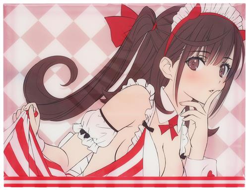 Tony A4対応クリアケース [Tony][T2 ART WORKS]