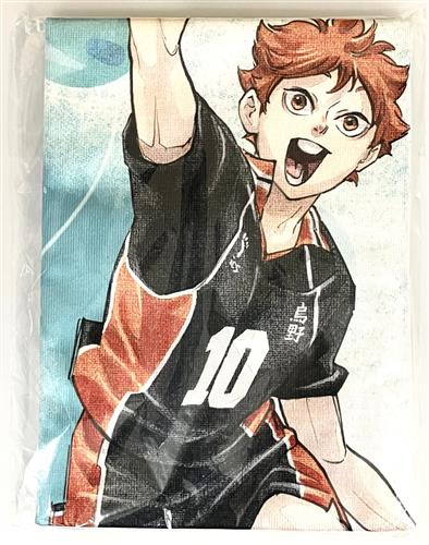 ハイキュー!! FAN PARK キービジュアル フルカラーBIGタオル