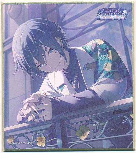プロジェクトセカイ カラフルステージ ! ミニ色紙コレクション 第44弾 C The first concerto KAITO B