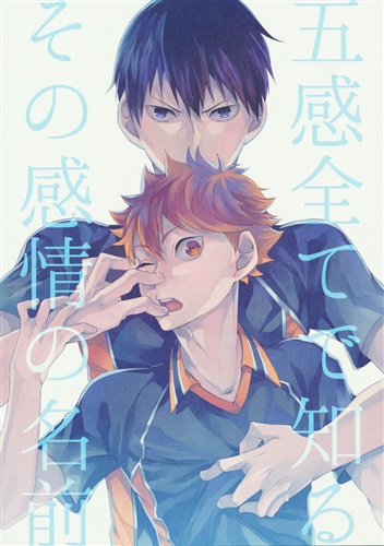 五感全てで知るその感情の名前 ハイキュー 内臓 四畳半 作家 えふ臓 内臓 女性向同人 同人誌 一般誌 アニメグッズ ゲーム 同人誌の中古販売 買取 らしんばんオンライン 五感全てで知るその感情の名前 ハイキュー 内臓 四畳半 作家 えふ臓 内臓 女性向同人 同人誌 一般誌 アニメグッズ ゲーム 同人誌の中古販売 買取 らしんばんオンライン