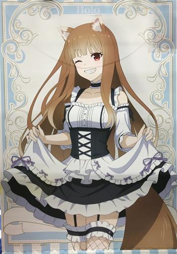 くじ引き堂 狼と香辛料 MERCHANT MEETS THE WISE WOLF ホロくじ Vol.2 A-2 B2タペストリー ホロ ゴシックドレス