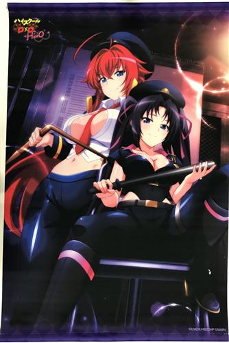 ハイスクールD×D HERO B2タペストリー A リアス・グレモリー&セラフォルー・レヴィアタン