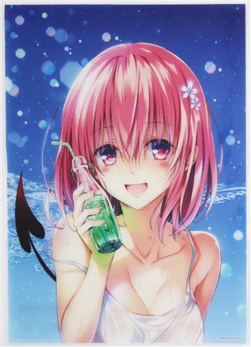未開封】To LOVEる -とらぶる- 15周年記念 原画展 A3クリアポスター