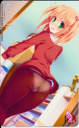 魔法少女の兄 ～下手な嘘と不良少年～ 【VISCO特典】 【テレホンカード】