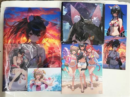 大陸間弾道少女 5点セット VSISTERS4 ビッグアクリルスタンド マフラータオル ポストカード(三枚セット)  クリアファイルバッグ 【ホロライブ】[泉彩][大陸間弾道少女]