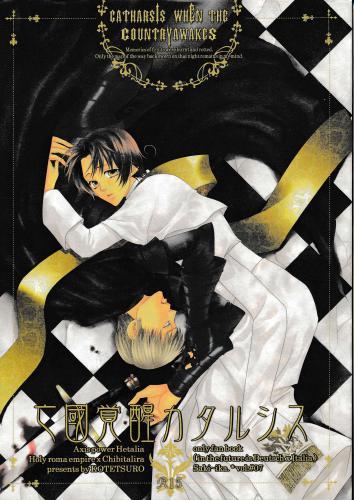 亡國覚醒カタルシス 蔵出品 女性向同人 同人誌 特約 アニメグッズ ゲーム 同人誌の中古販売 買取 らしんばんオンライン