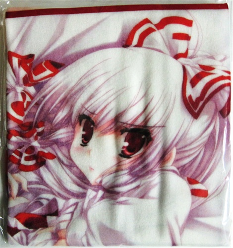 東方project もこたんのもこもこブランケット 藤原妹紅 丸ちゃん Happybirthday 男性向同人 同人グッズ その他 アニメグッズ ゲーム 同人誌の中古販売 買取 らしんばんオンライン