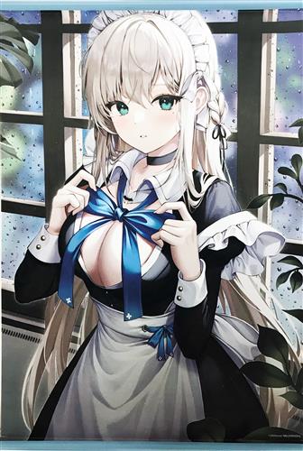 Mellozzo先生 厳選イラスト B2Wスエードタペストリー (Creator's Girls Collection 2023)