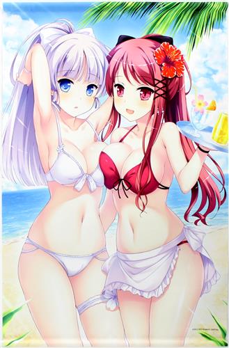 ウィッチズガーデン B2タペストリー 緋宮あやり&雪村涼乃 【初回限定版 内容物】