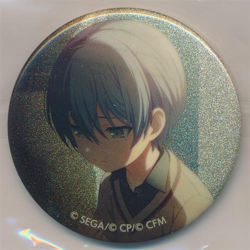 プロジェクトセカイ カラフルステージ! グリッター缶バッジコレクション vol.4 A 青柳冬弥