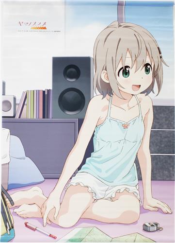 ヤマノススメ サードシーズン 描き下ろしB2タペストリー 雪村あおい