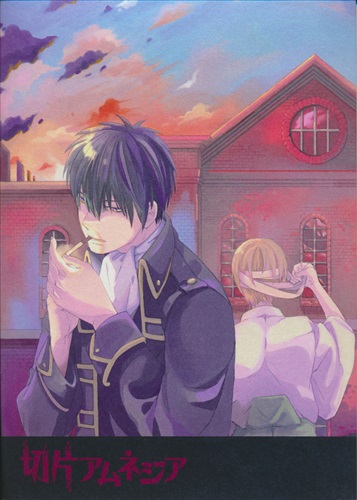 切片アムネジア 【銀魂】[ギャラクシーユカ郎][AG21g]