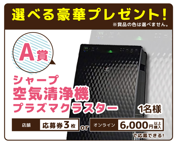 A賞プレゼント内容