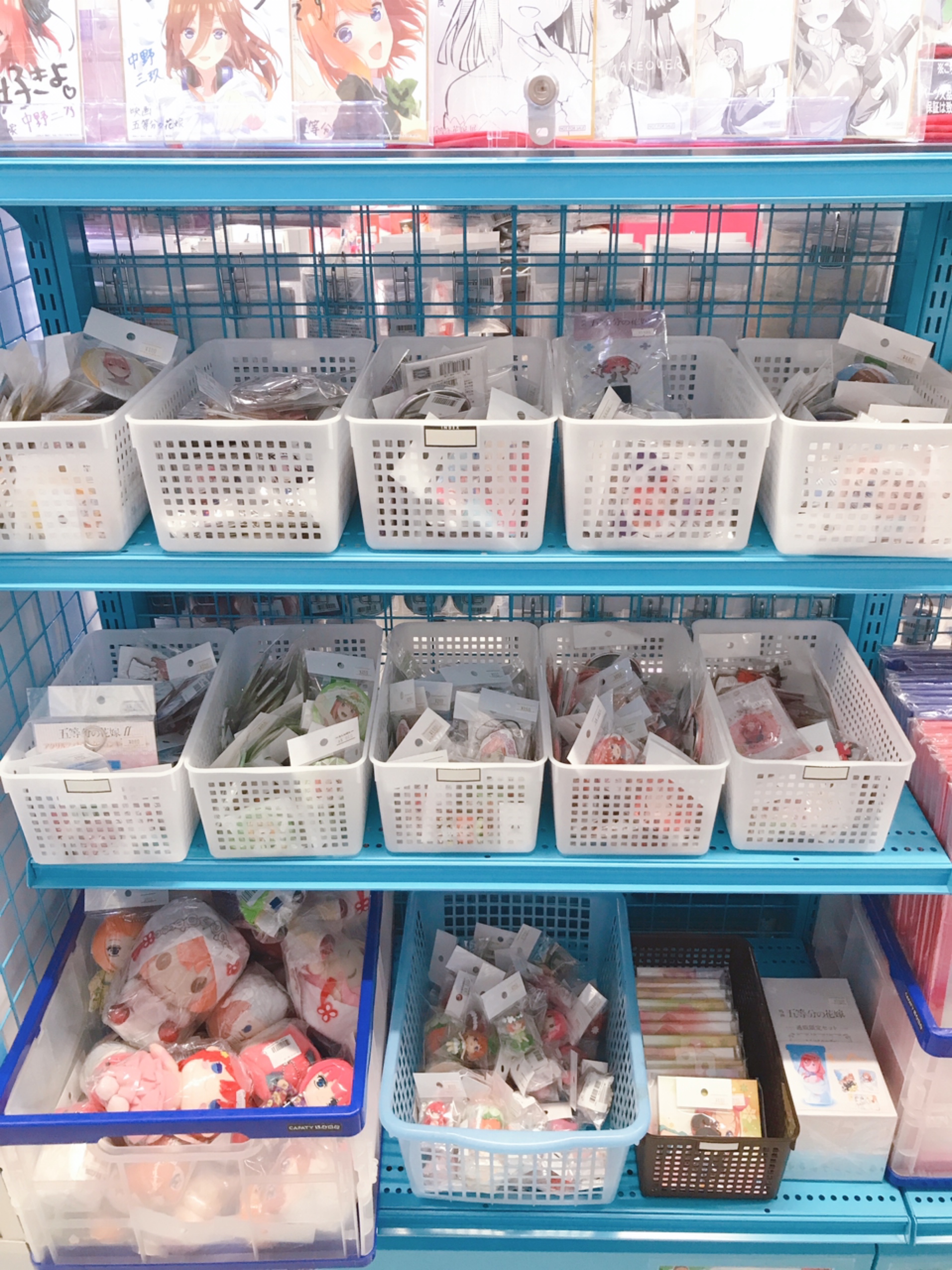 名古屋店本館】五等分の花嫁♥大特集コーナー展開！【五等分の花嫁