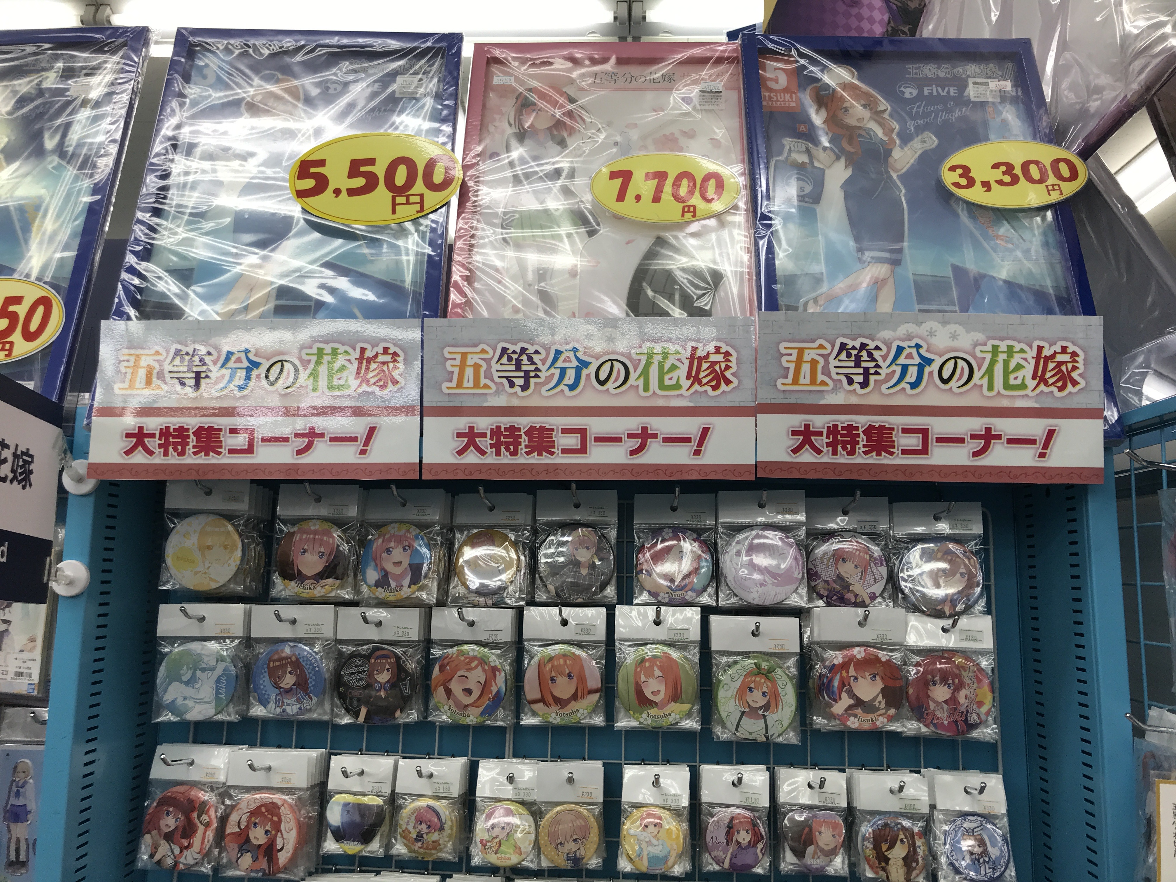 らしんばん京都店】五等分の花嫁特設コーナーのご紹介！【らしんばん