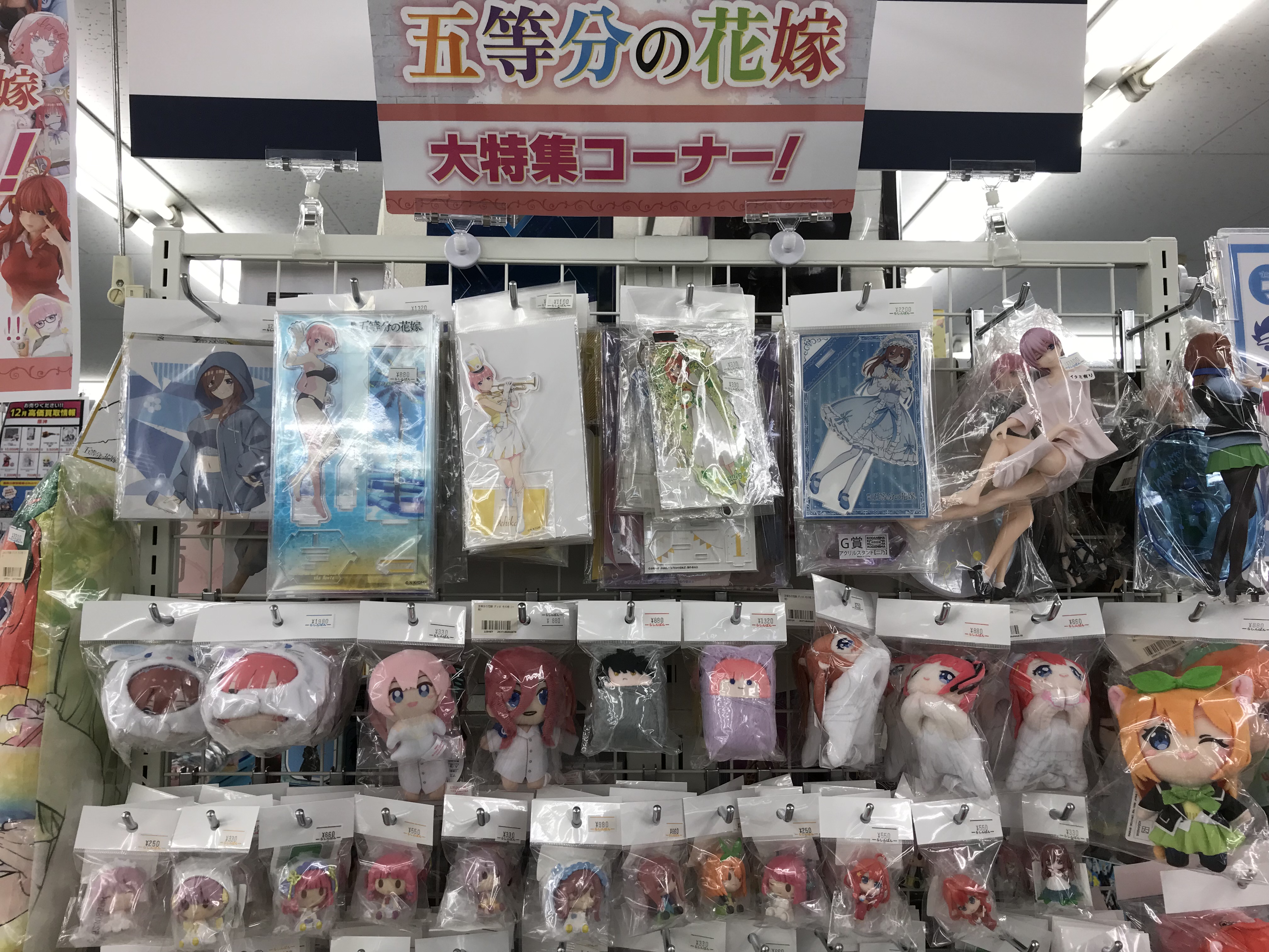 熊本店】五等分の花嫁コーナー展開中！！ | らしんばん