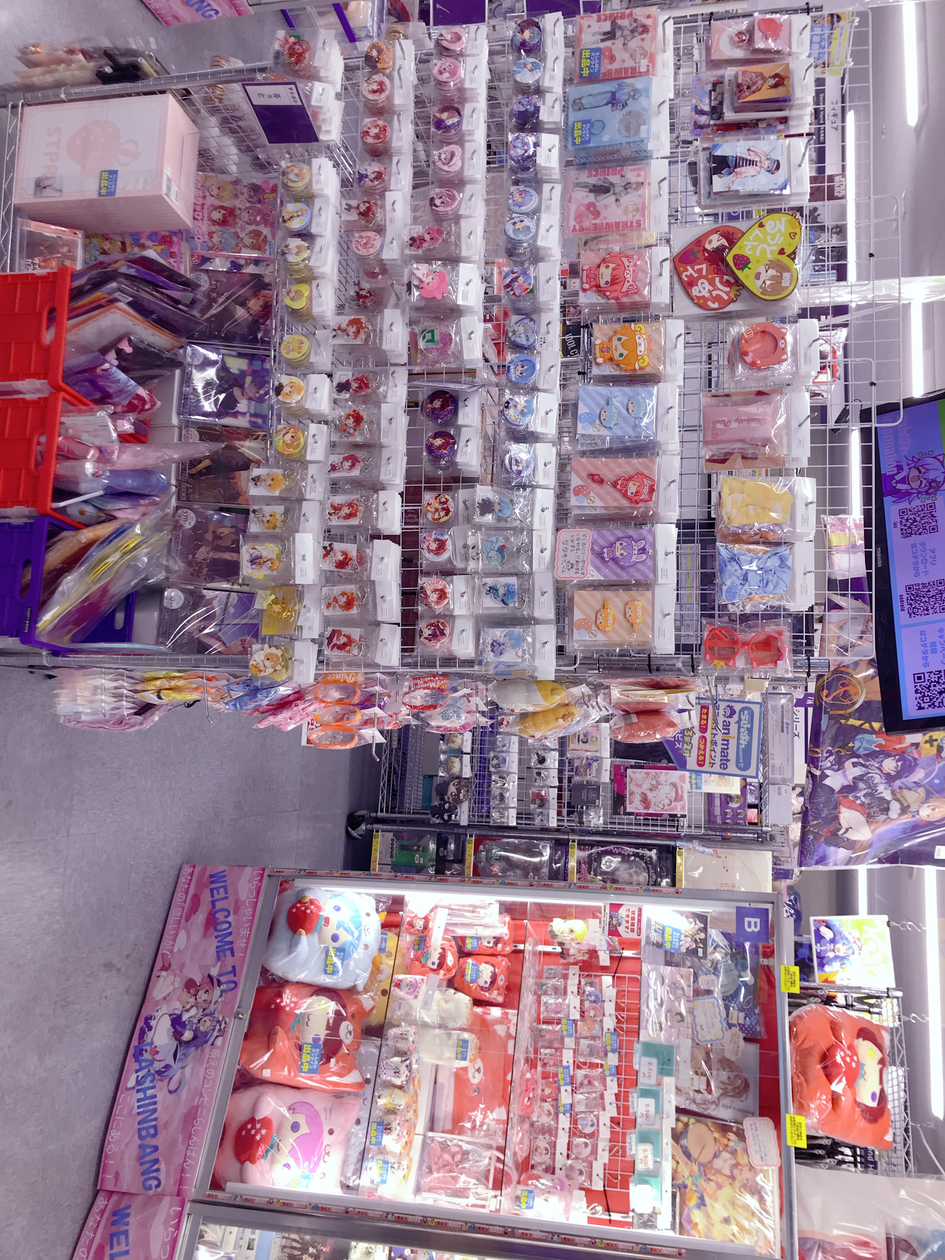 豊橋店】『すとぷり』大特集コーナー!! | らしんばん