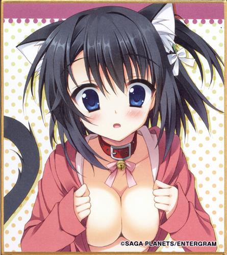 はつゆきさくら ミニ色紙 東雲希 グッズ その他 その他 アニメグッズ ゲーム 同人誌の中古販売 買取 らしんばんオンライン