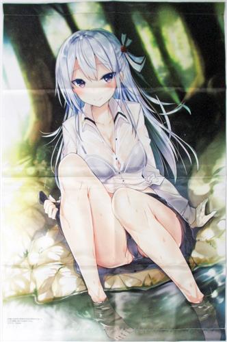 可愛い女の子に攻略されるのは好きですか B2タペストリー 南条姫沙 グッズ 抱き枕カバー タペストリー シーツ タペストリー 一般 アニメグッズ ゲーム 同人誌の中古販売 買取 らしんばんオンライン