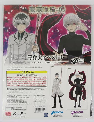 東京喰種トーキョーグール Re 等身大タペストリー 金木研 グッズ 抱き枕カバー タペストリー シーツ タペストリー 一般 アニメグッズ ゲーム 同人誌の中古販売 買取 らしんばんオンライン