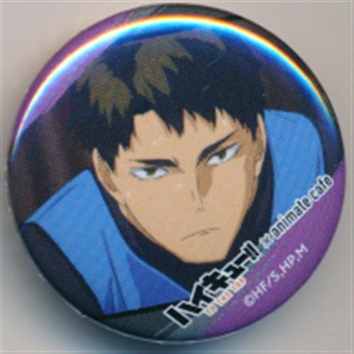 ハイキュー To The Top アニメイトカフェ トレーディング缶バッジ To The Topver 牛島若利 グッズ 缶バッジ ラバーストラップ キーホルダー類 缶バッジ アニメグッズ ゲーム 同人誌の中古販売 買取 らしんばんオンライン