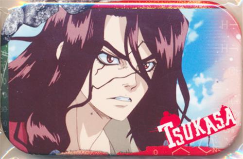 Dr Stone まるかくカンバッジ 缶バッジ 2 獅子王司 グッズ 缶バッジ ラバーストラップ キーホルダー類 缶バッジ アニメ グッズ ゲーム 同人誌の中古販売 買取 らしんばんオンライン