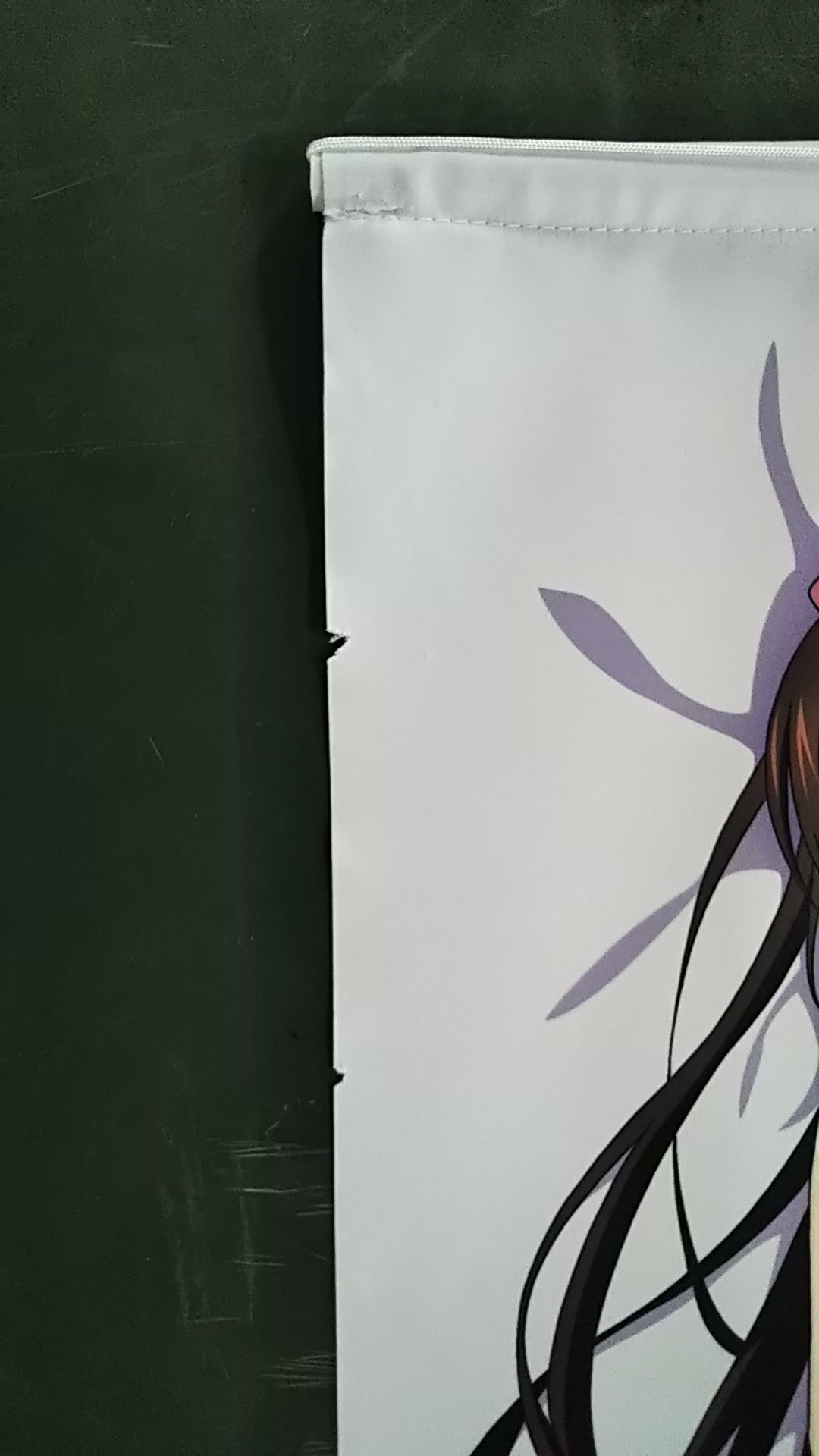 ストライク ザ ブラッド Iii Ova B2タペストリー 姫柊雪菜 煌坂紗矢華 ソフマップ Dvd全巻購入特典 グッズ 抱き枕カバー タペストリー シーツ タペストリー 一般 アニメグッズ ゲーム 同人誌の中古販売 買取 らしんばんオンライン