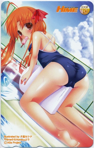 Himeのちhoney 電撃姫 08年6月号全プレ テレホンカード 金券類 金券類 テレホンカード アニメグッズ ゲーム 同人誌の中古販売 買取 らしんばんオンライン